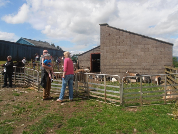 Open Farm Day